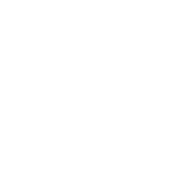 Cheesecake Factory Incorporated (The) Share Price